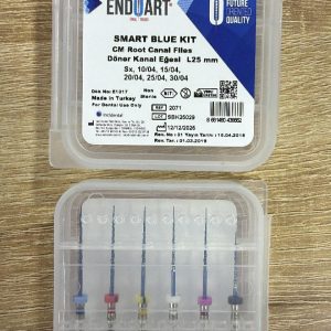 ENDO ART BLUE ASSORTIMENT 04